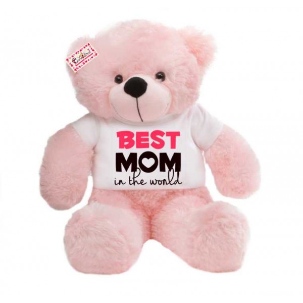 2 feet big pink teddy bear wearing Best Mom in the world T-shirt